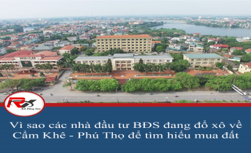 Vì sao các nhà đầu tư BĐS đổ xô về thị trường Cẩm Khê - Phú Thọ tìm mua đất